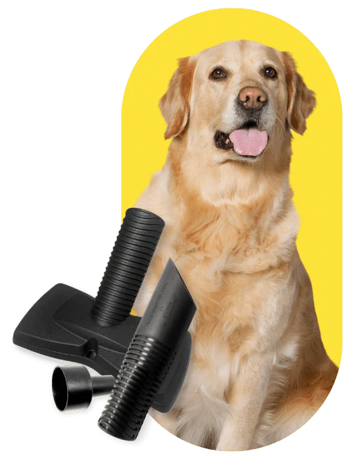 Shop-Vac & Attachments