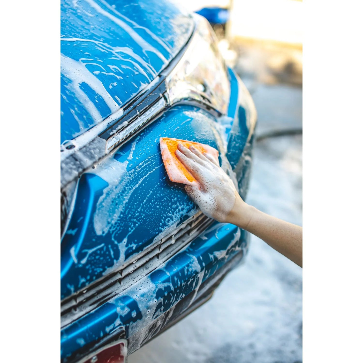 The Rag Company Jersey Bug Scrubber Pad - 5 Pack